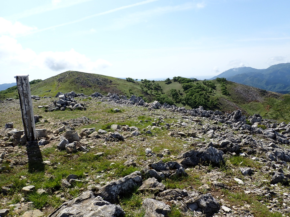 P5281518_mid.jpg