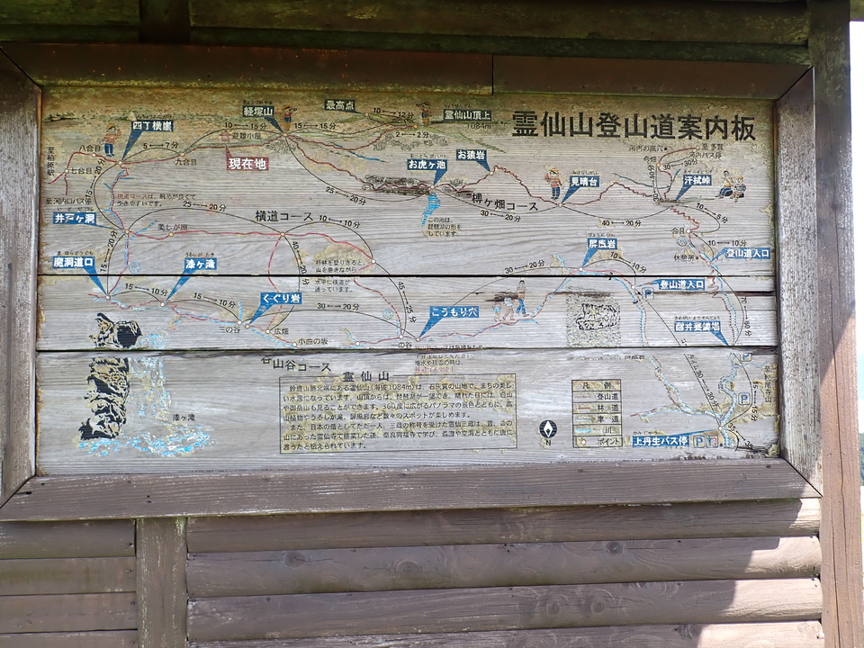 P5281589_mid.jpg