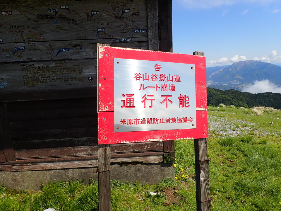 P5281591_mid.jpg