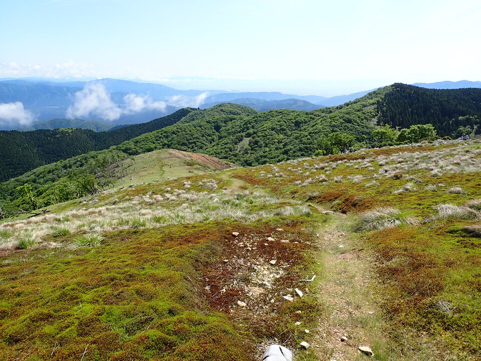P5281597_mid.jpg
