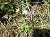 P5281603_thumb.png