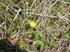 P5281633_thumb.png