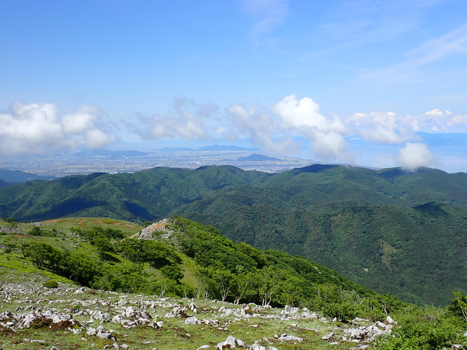 P5281651_mid.jpg