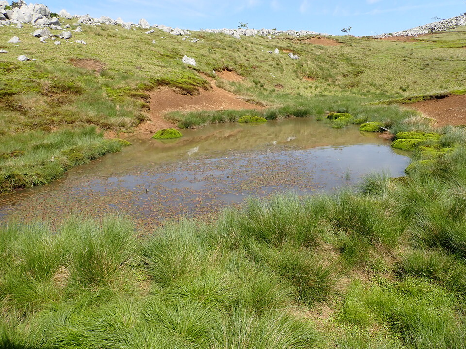 P5281670_mid.jpg