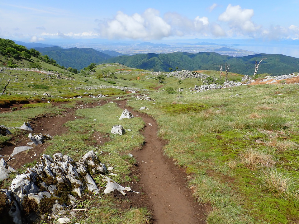 P5281671_mid.jpg