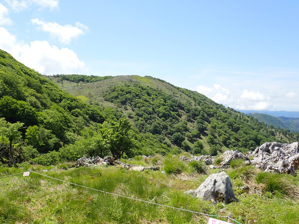 P5281678_mid.jpg