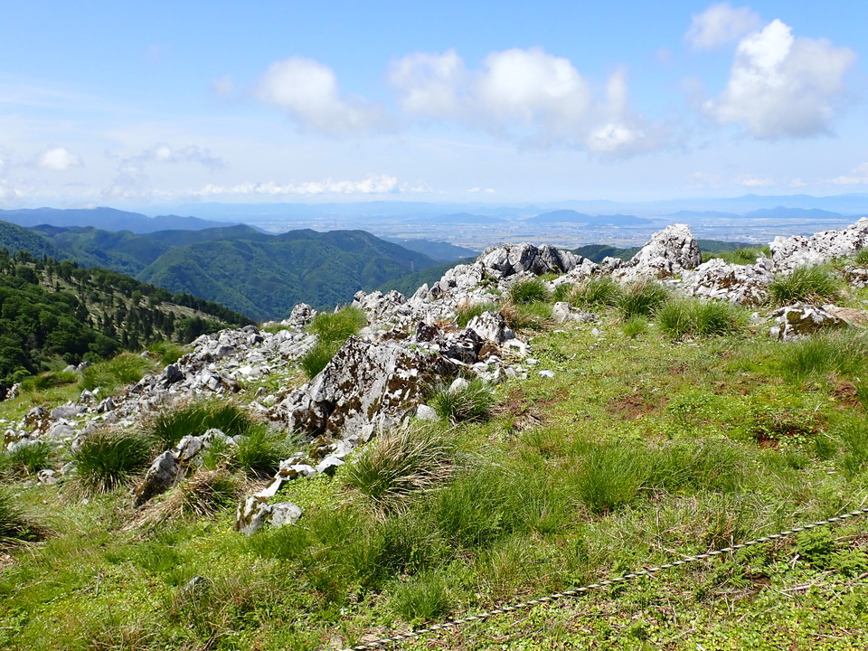 P5281681_mid.jpg