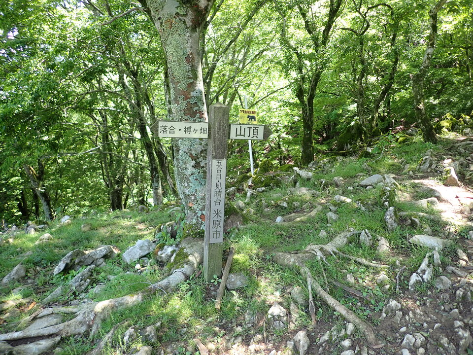 P5281682_mid.jpg