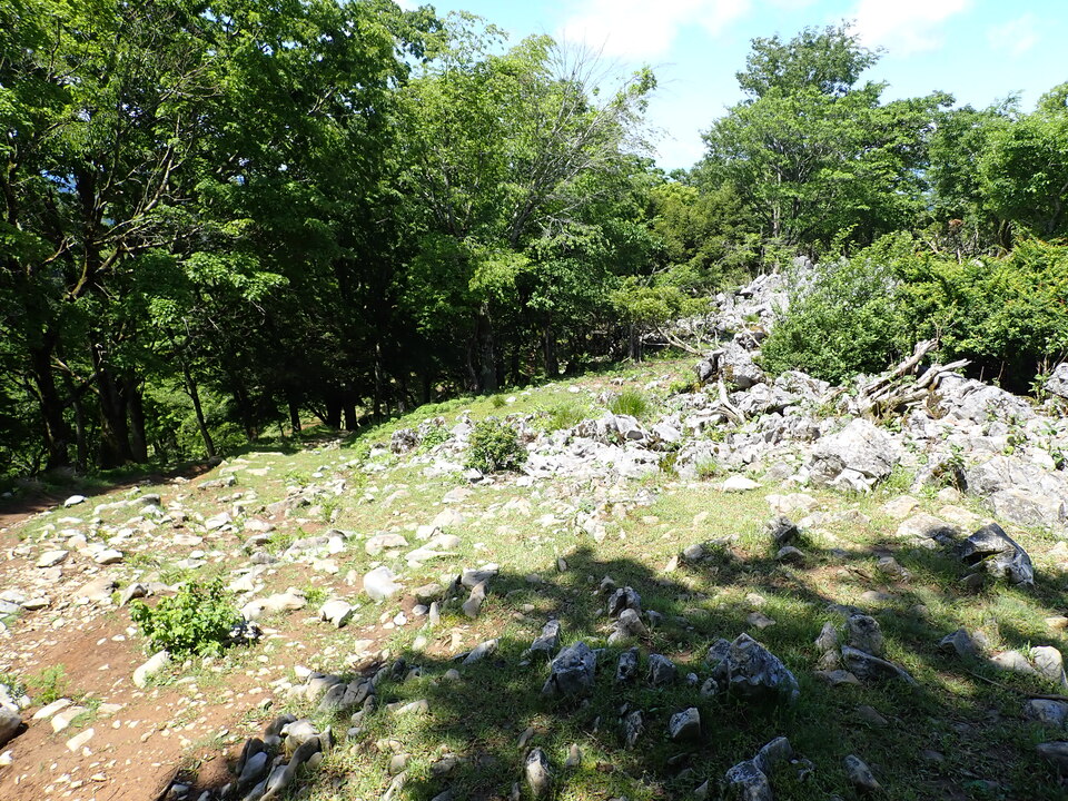 P5281686_mid.jpg
