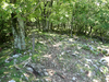 P5281687_thumb.png