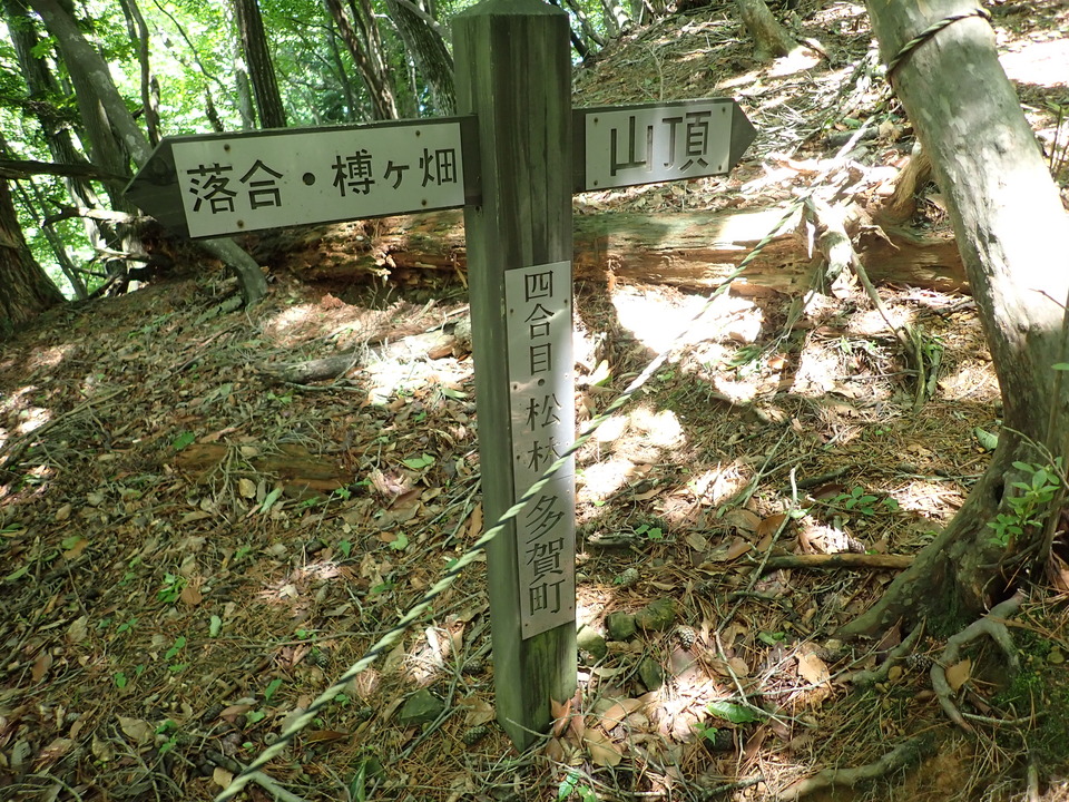 P5281689_mid.jpg