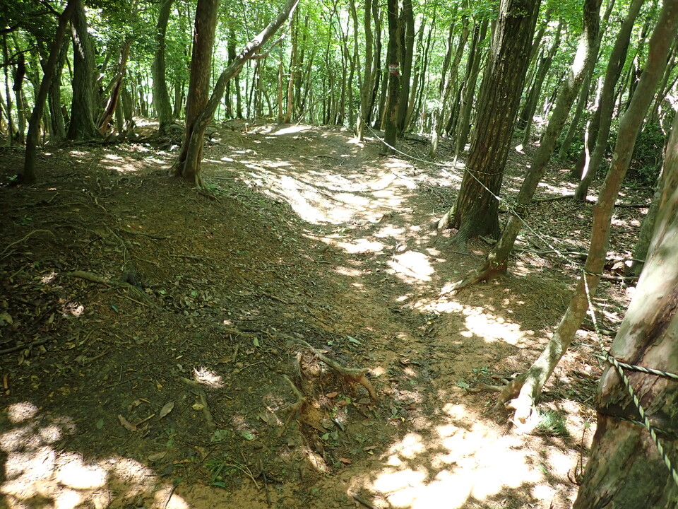 P5281691_mid.jpg