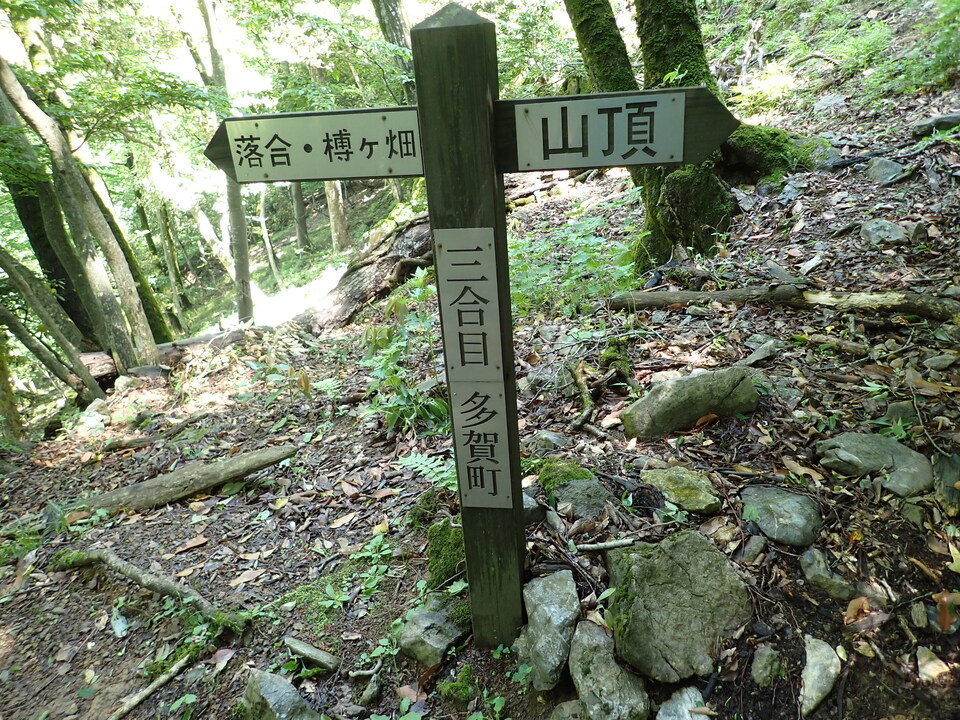 P5281696_mid.jpg
