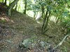 P5281698_thumb.png