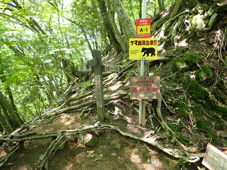 P5281708_mid.jpg