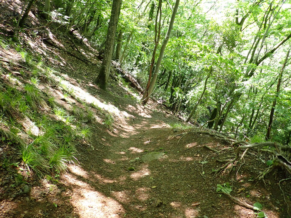 P5281709_mid.jpg