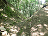 P5281711_thumb.png