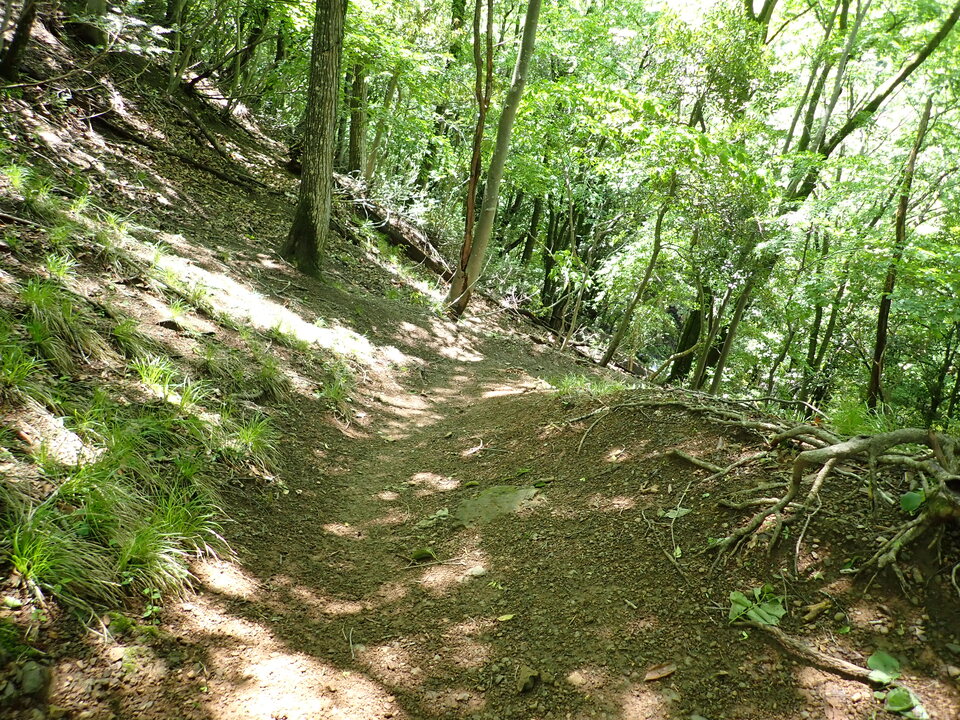 P5281712_mid.jpg