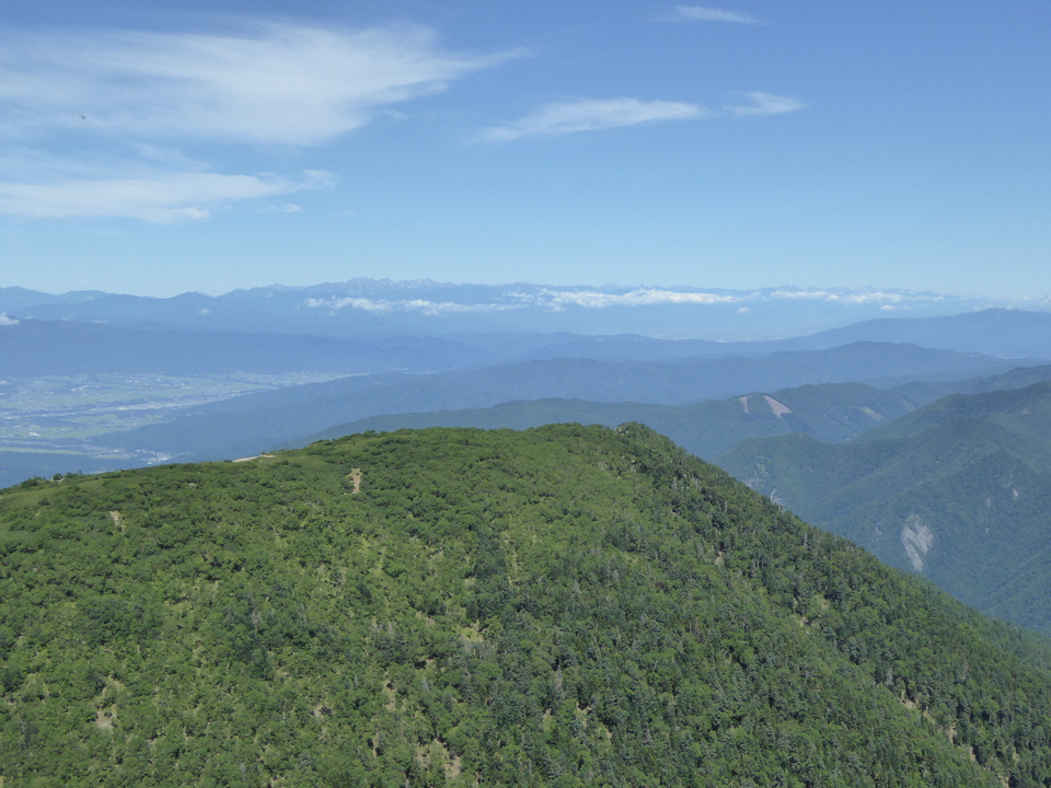 P1050510_mid.jpg