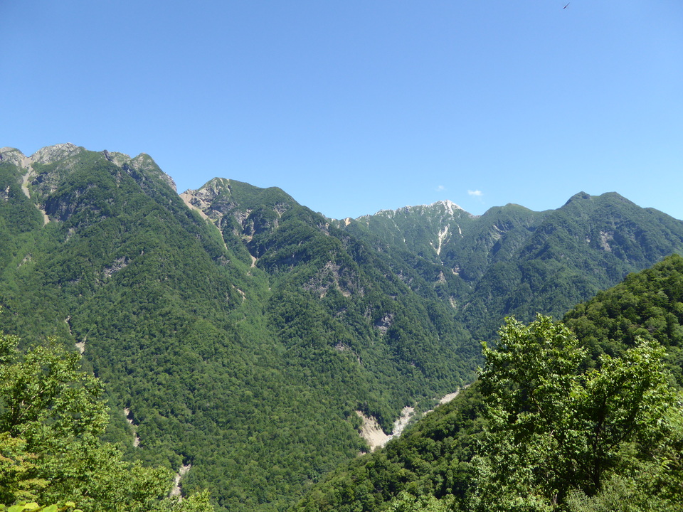 P1050529_mid.jpg