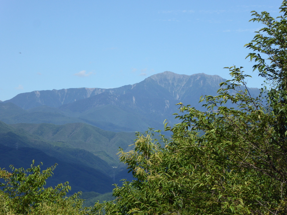 P1050549_mid.jpg