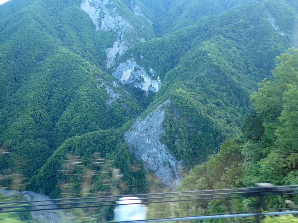 P8199566_mid.jpg