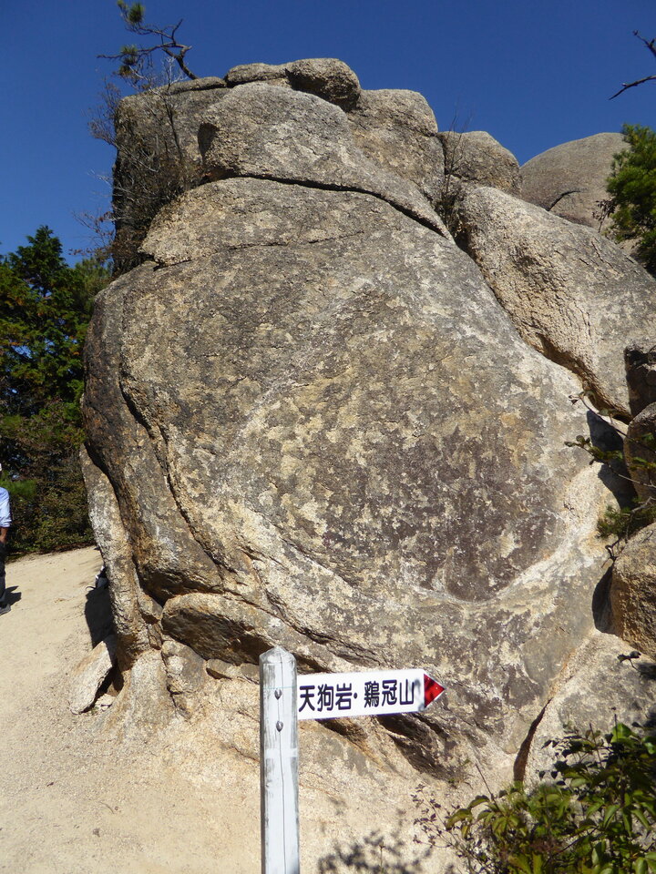 P1040542_mid.jpg