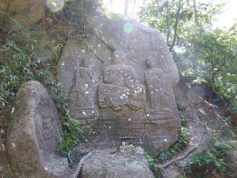 P1040571_mid.jpg