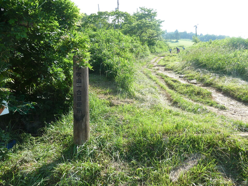 P1160388_mid.jpg
