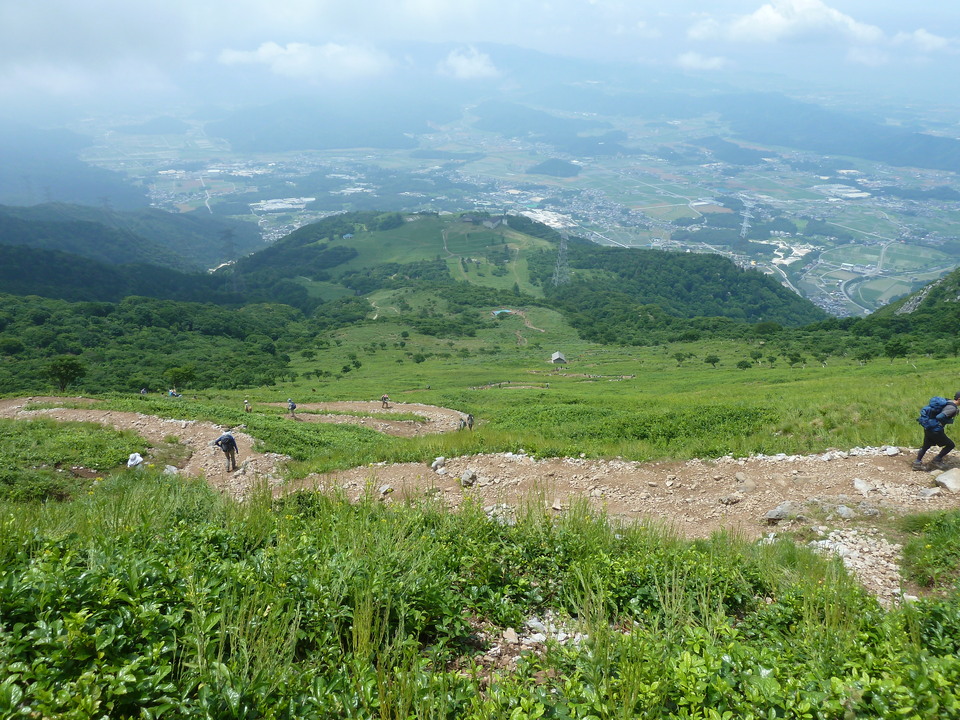 P1160445_mid.jpg
