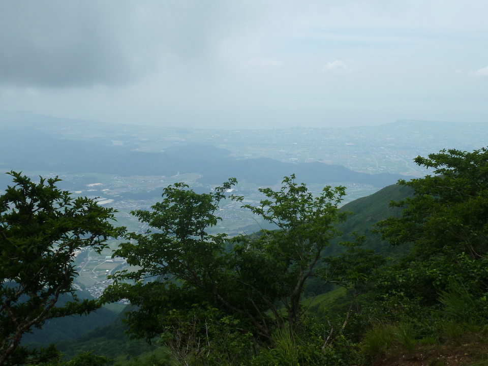 P1160536_mid.jpg