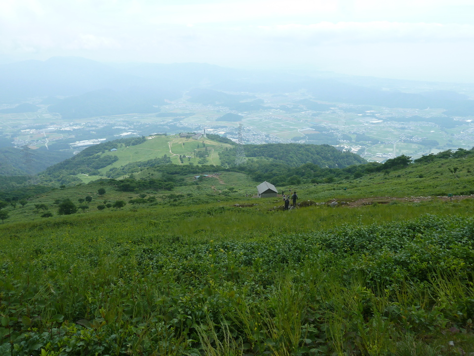 P1160542_mid.jpg