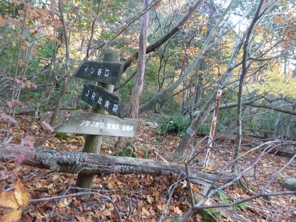 P1190364_mid.jpg