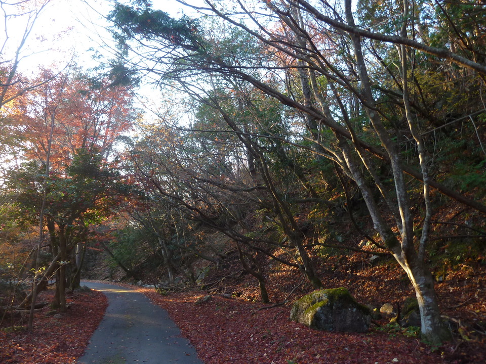 P1190375_mid.jpg