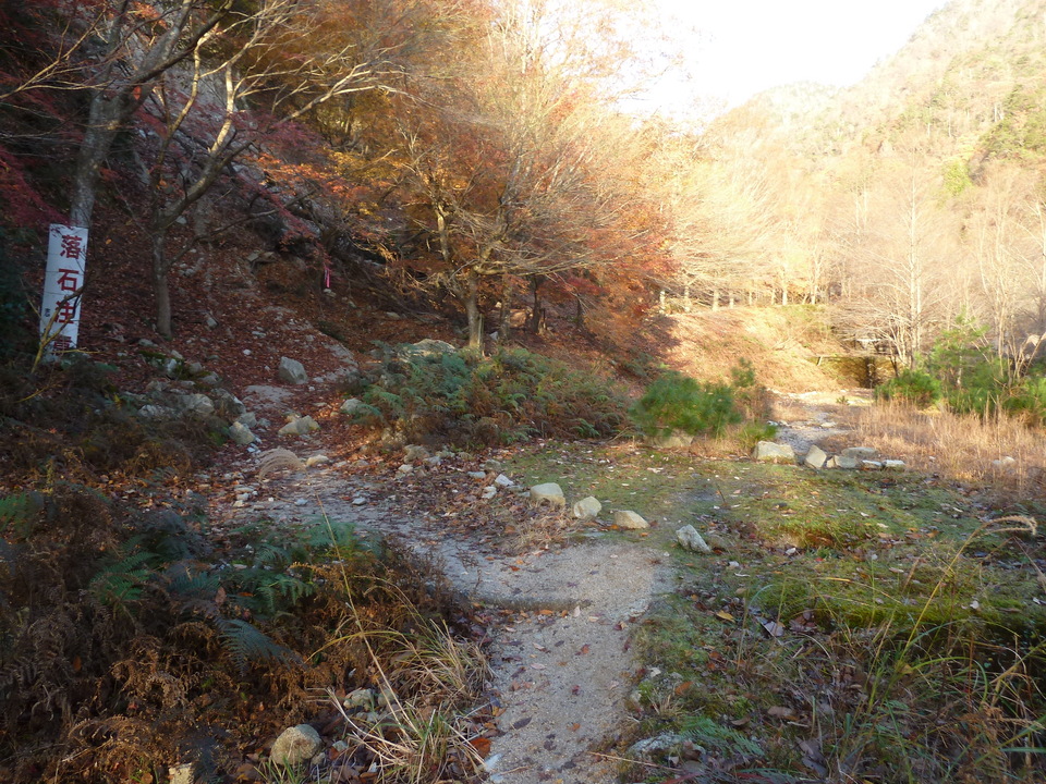 P1190385_mid.jpg