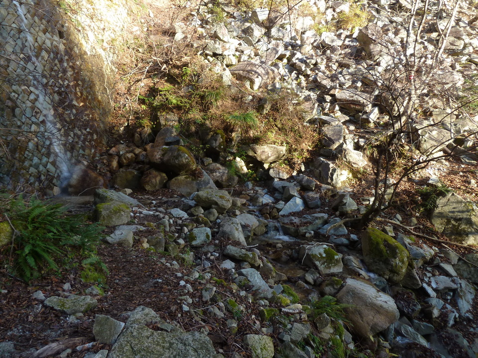 P1190413_mid.jpg