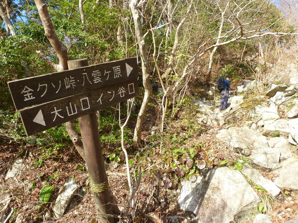 P1190420_mid.jpg