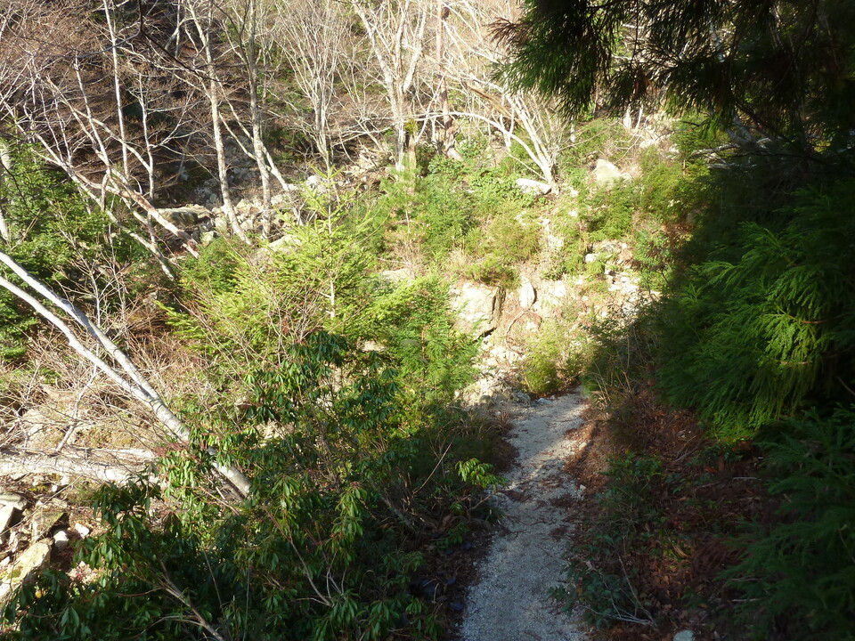 P1190426_mid.jpg