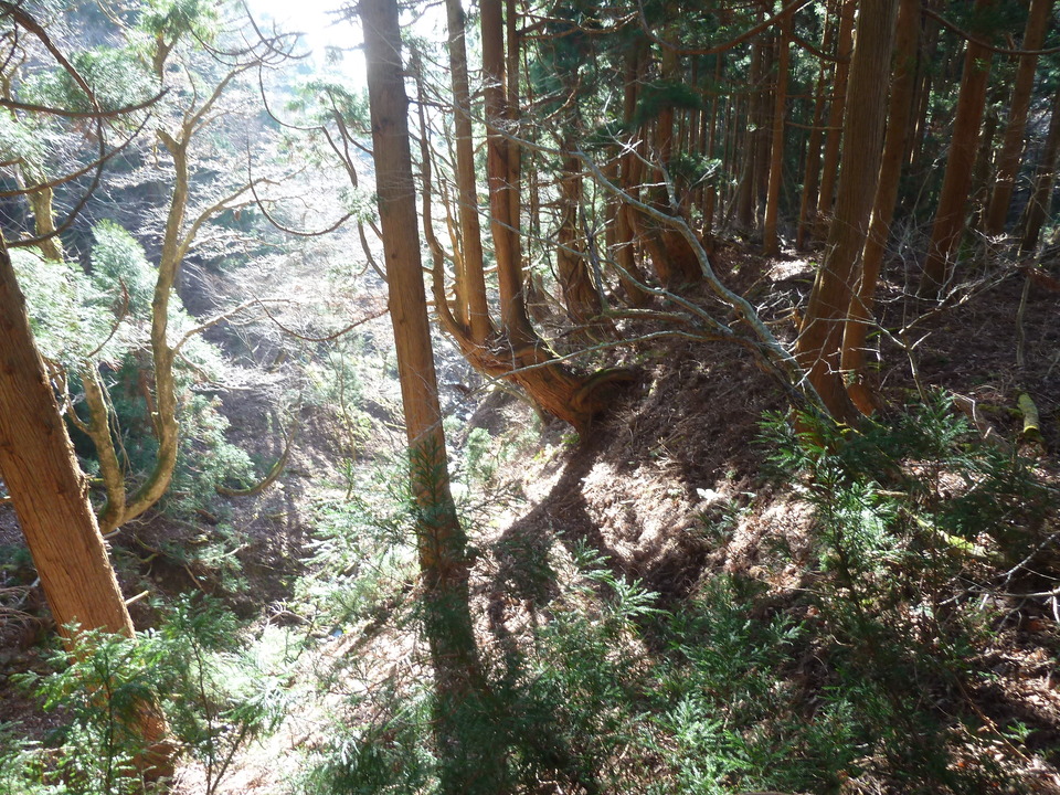 P1190466_mid.jpg