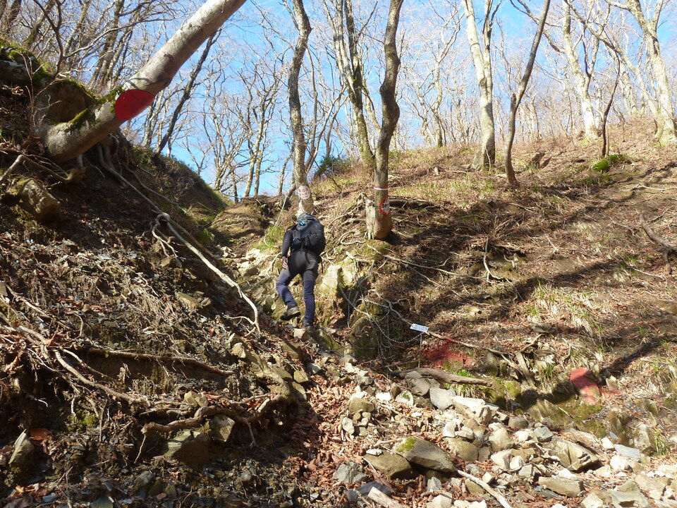 P1190491_mid.jpg