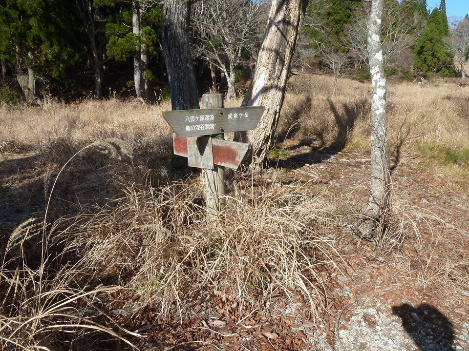 P1190570_mid.jpg