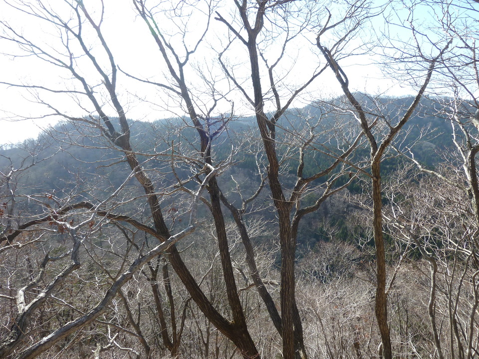 P1190654_mid.jpg