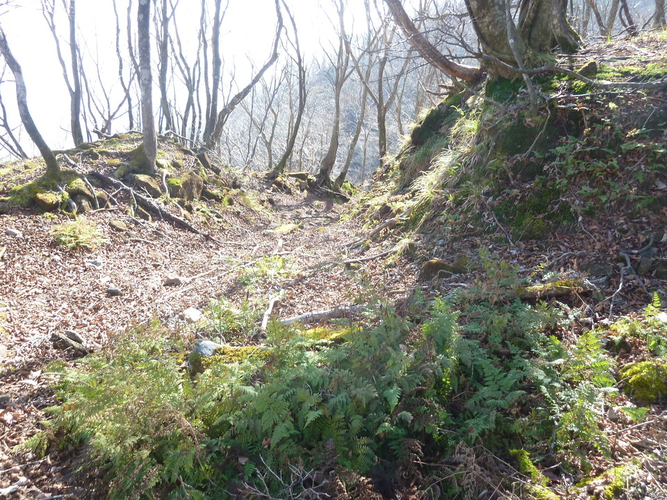 P1190666_mid.jpg