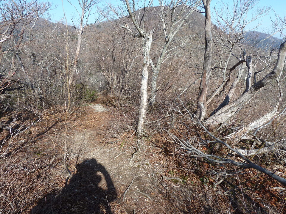 P1190680_mid.jpg
