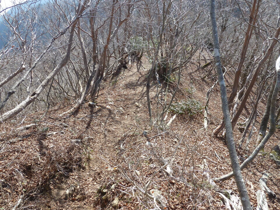 P1190723_mid.jpg