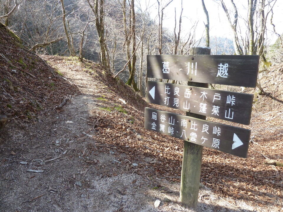 P1190728_mid.jpg