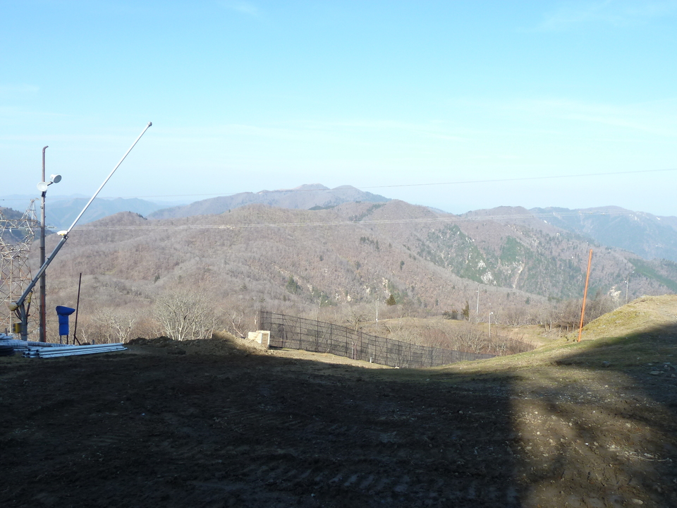 P1190791_mid.jpg