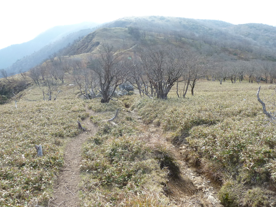 P1190815_mid.jpg