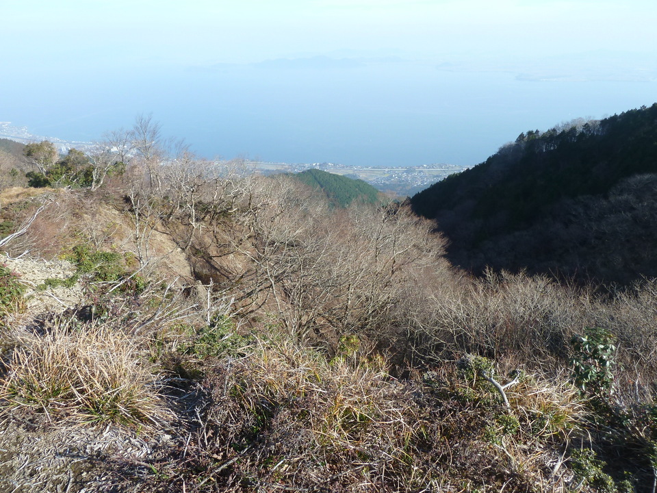 P1190850_mid.jpg