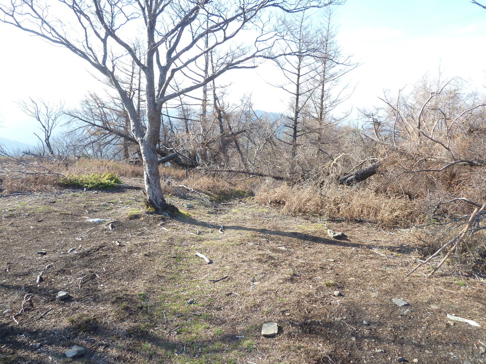 P1190870_mid.jpg